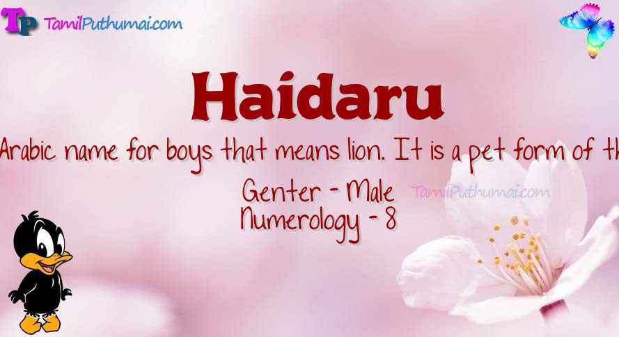 Haidaru-babyname-meaning