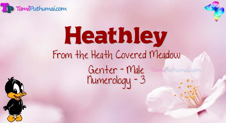 Heathley-babyname-meaning