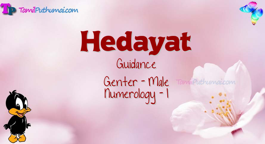Hedayat-babyname-meaning