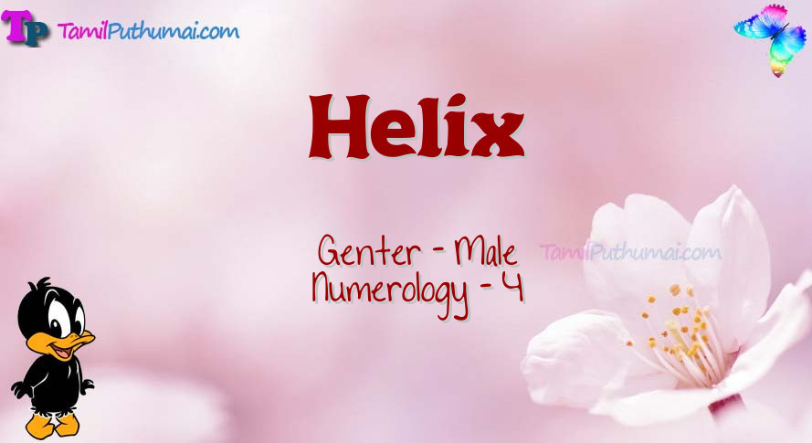 Helix-babyname-meaning
