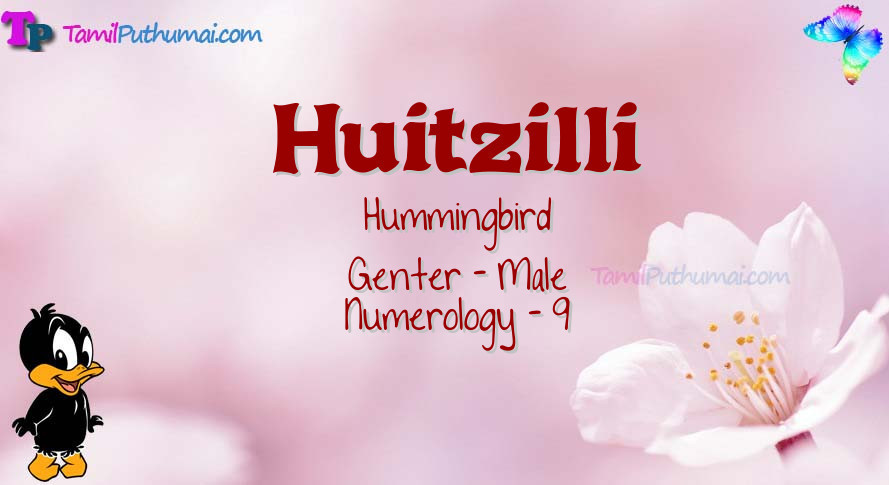 Huitzilli-babyname-meaning
