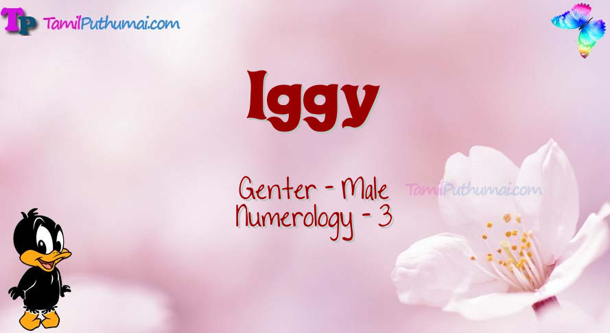 Iggy-babyname-meaning