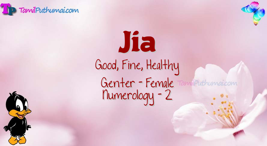 Jia-babyname-meaning