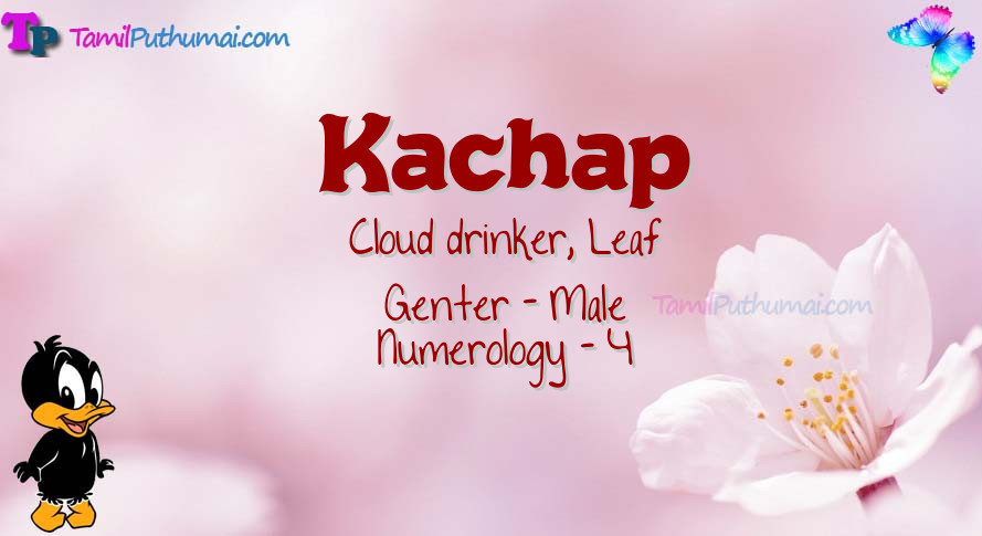 Kachap-babyname-meaning