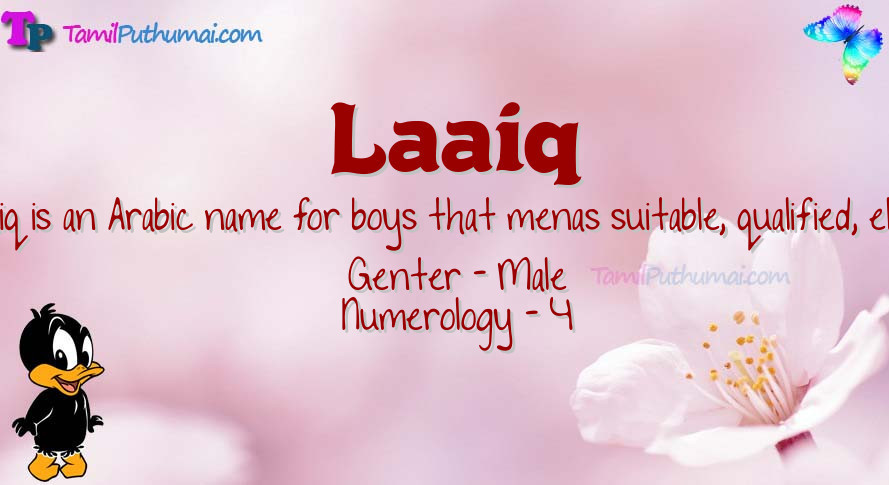 Laaiq-babyname-meaning