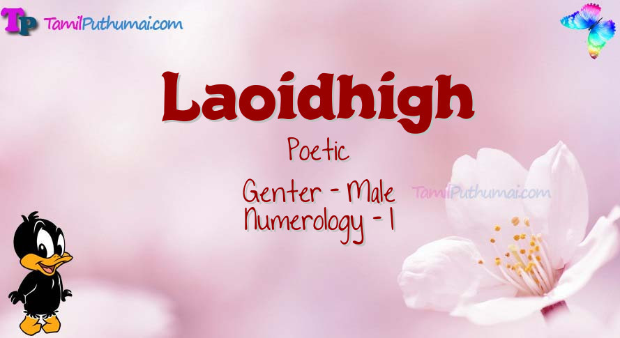 Laoidhigh-babyname-meaning