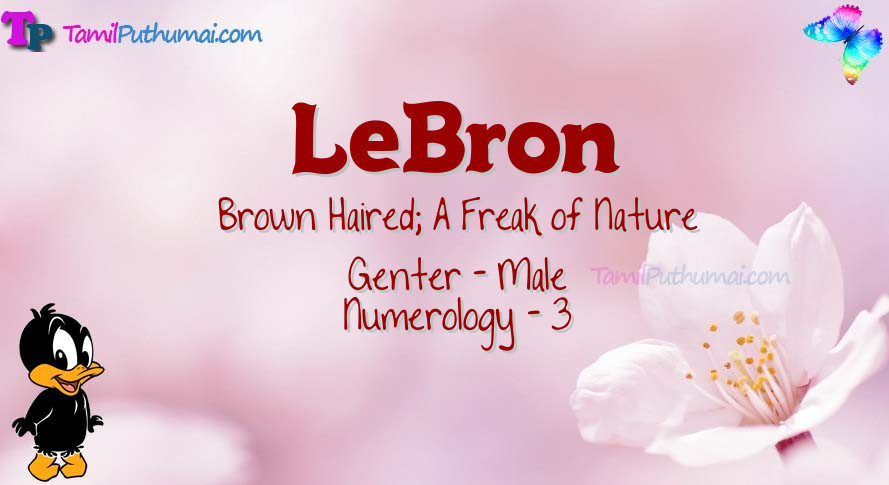 LeBron-babyname-meaning