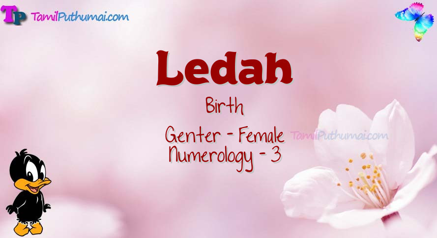 Ledah-babyname-meaning