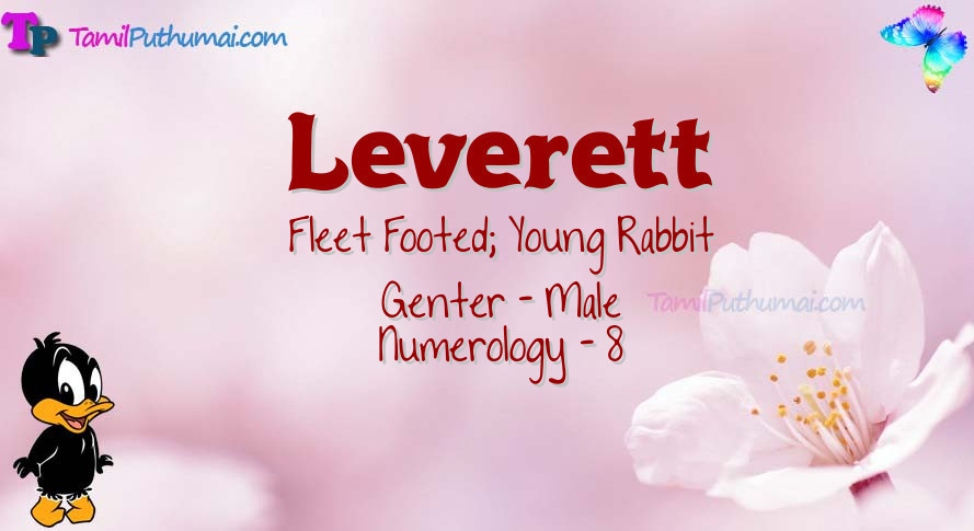 Leverett-babyname-meaning