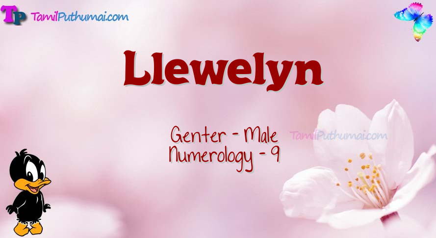 Llewelyn-babyname-meaning