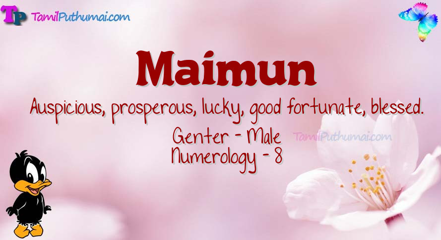 Maimun-babyname-meaning