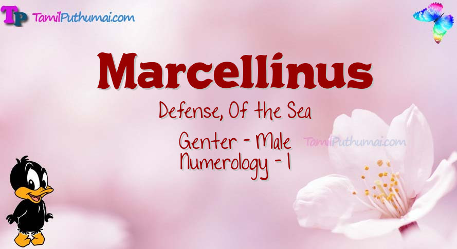 Marcellinus-babyname-meaning