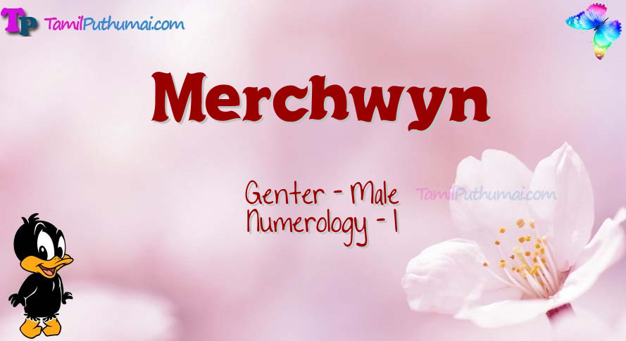 Merchwyn-babyname-meaning