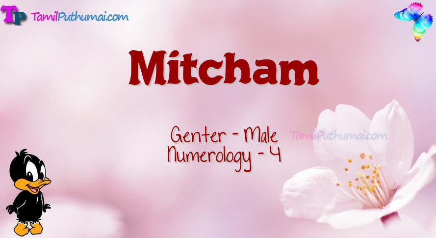 Mitcham-babyname-meaning
