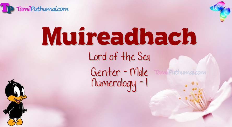 Muireadhach-babyname-meaning