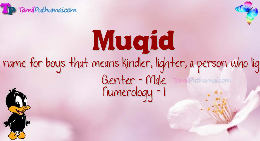 Muqid-babyname-meaning