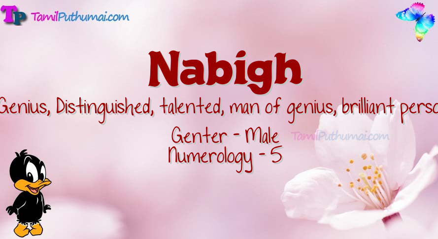 Nabigh-babyname-meaning