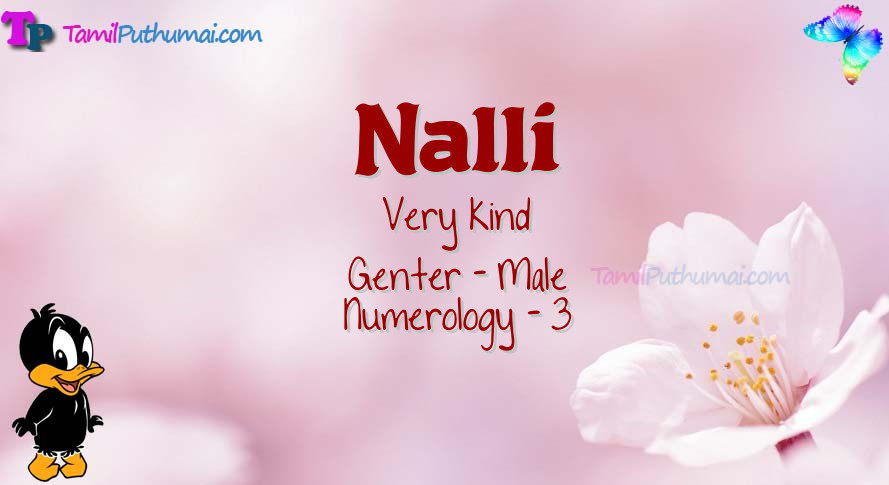 Nalli-babyname-meaning