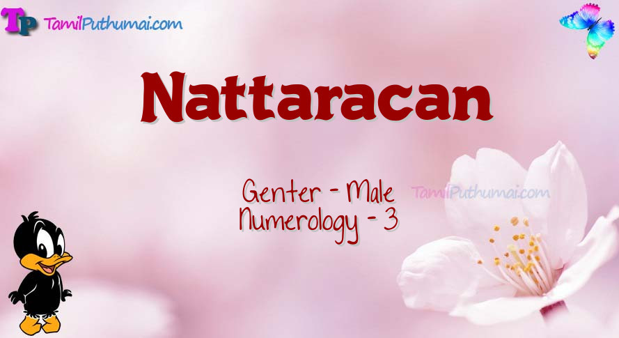 Nattaracan-babyname-meaning