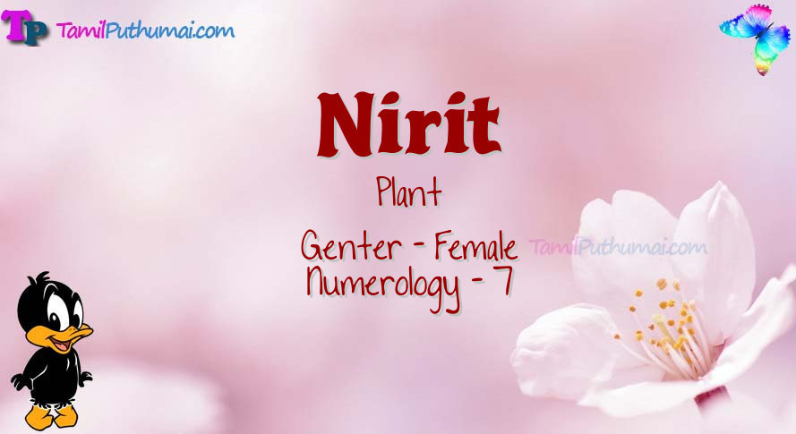Nirit-babyname-meaning