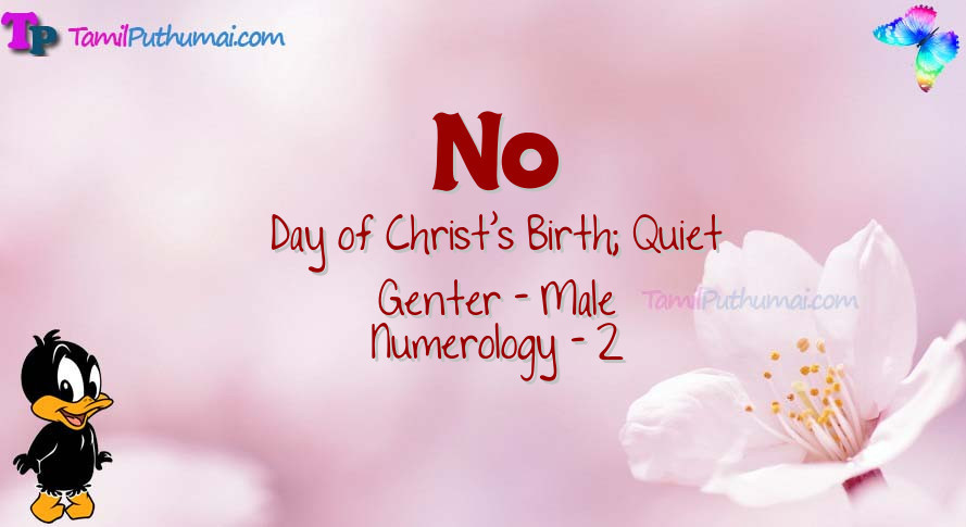 No-babyname-meaning