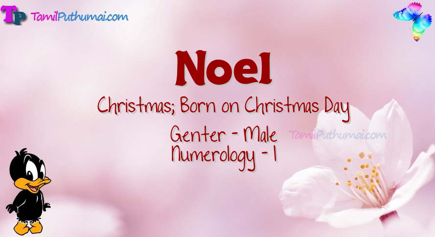 Noel-babyname-meaning