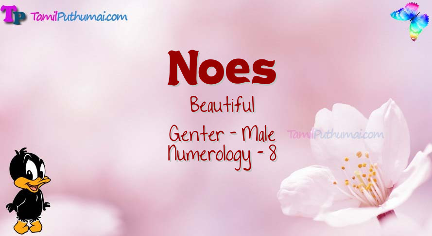 Noes-babyname-meaning