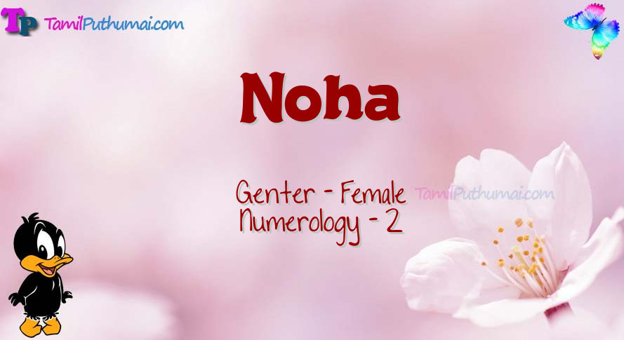 Noha-babyname-meaning
