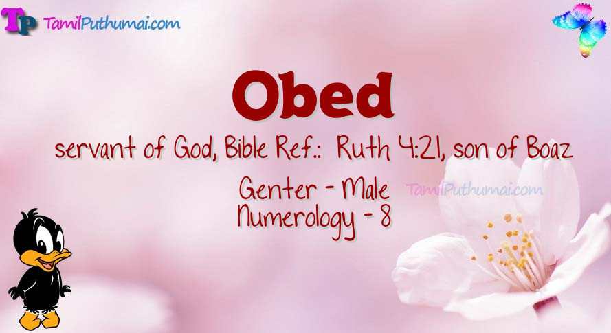 Obed-babyname-meaning