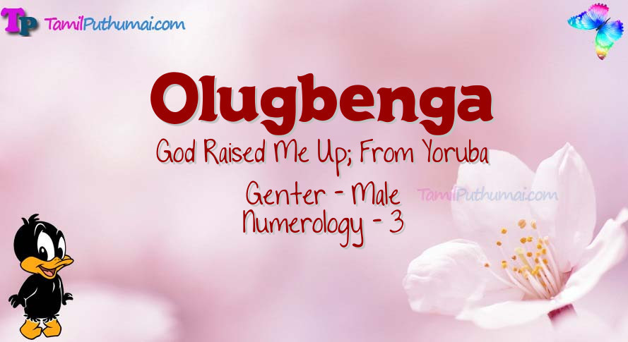 Olugbenga-babyname-meaning