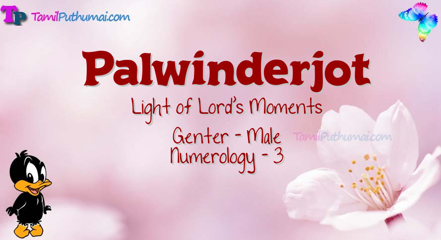 Palwinderjot-babyname-meaning