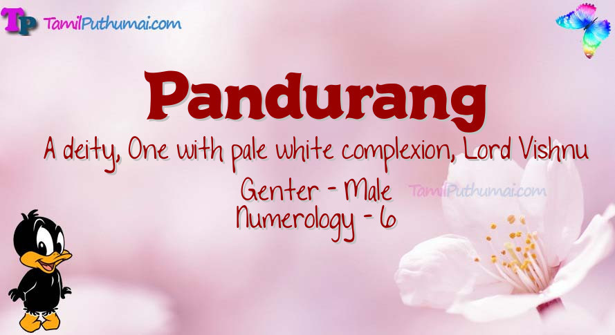 Pandurang-babyname-meaning