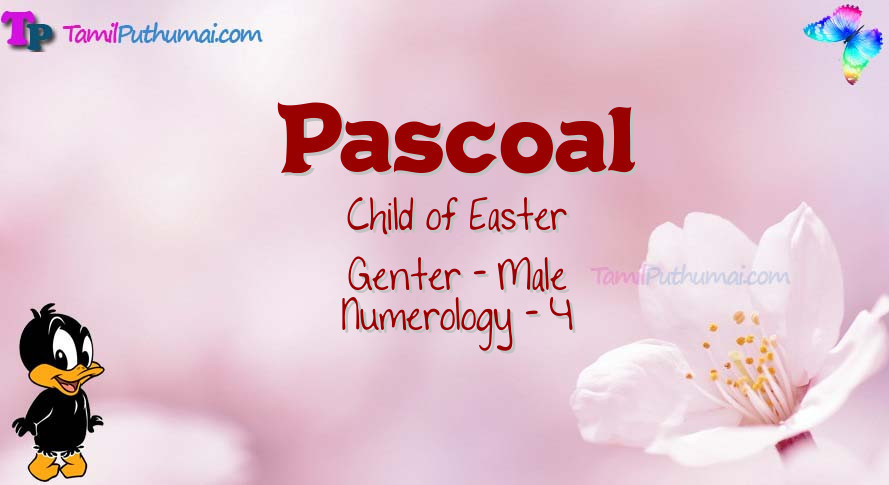 Pascoal-babyname-meaning