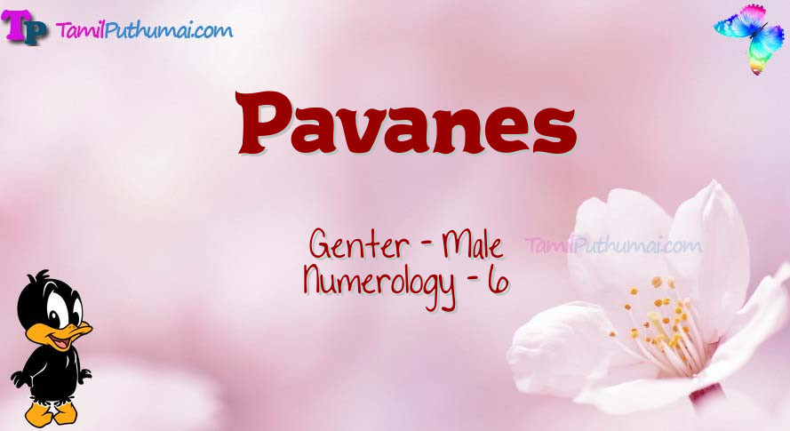 Pavanes-babyname-meaning