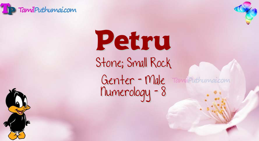 Petru-babyname-meaning