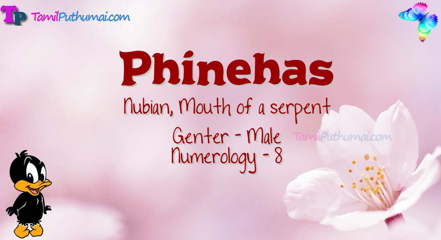 Phinehas-babyname-meaning