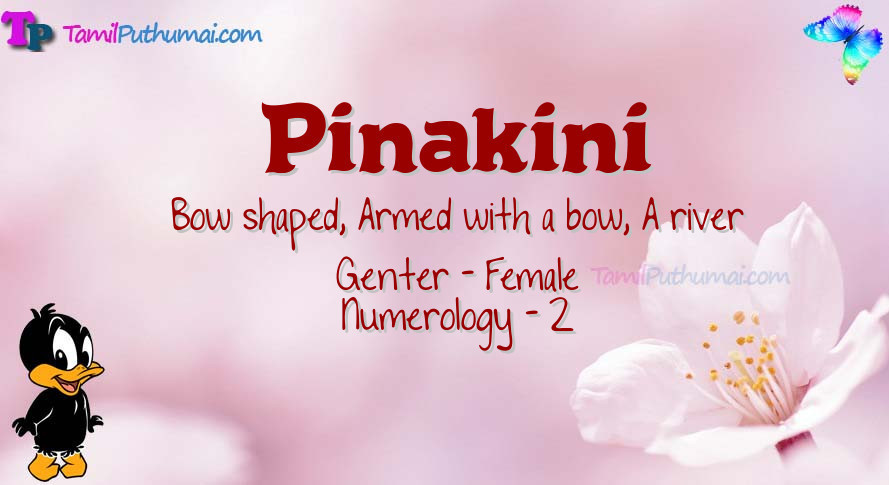 Pinakini-babyname-meaning