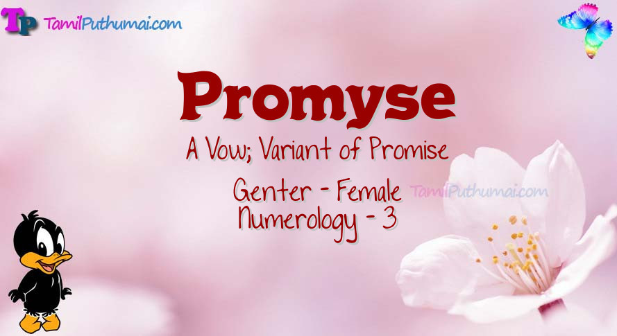 Promyse-babyname-meaning