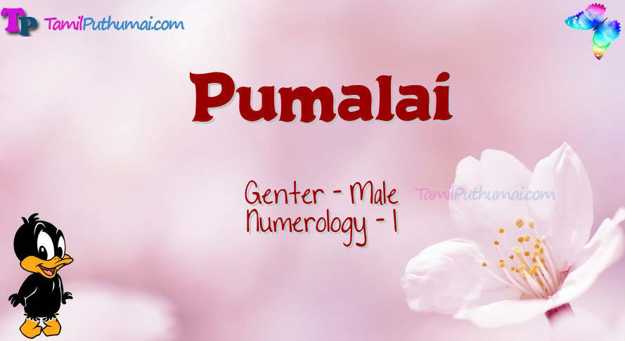 Pumalai-babyname-meaning