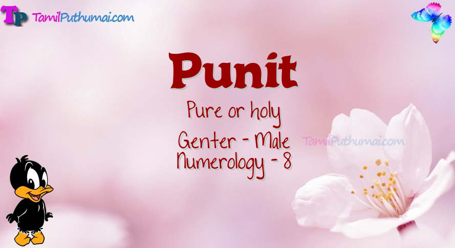 Punit-babyname-meaning