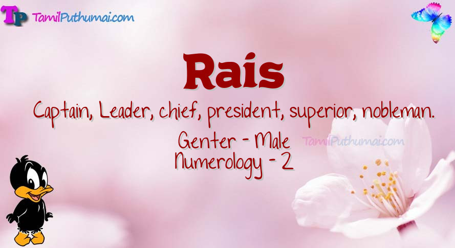 Rais-babyname-meaning