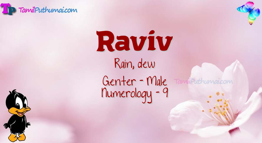 Raviv-babyname-meaning