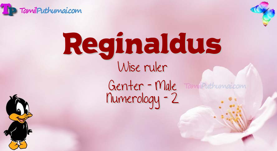 Reginaldus-babyname-meaning