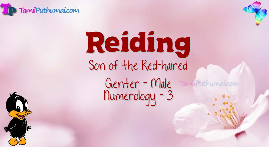 Reiding-babyname-meaning