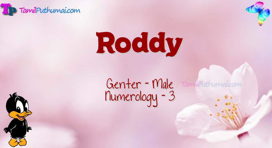 Roddy-babyname-meaning