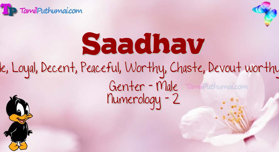 Saadhav-babyname-meaning