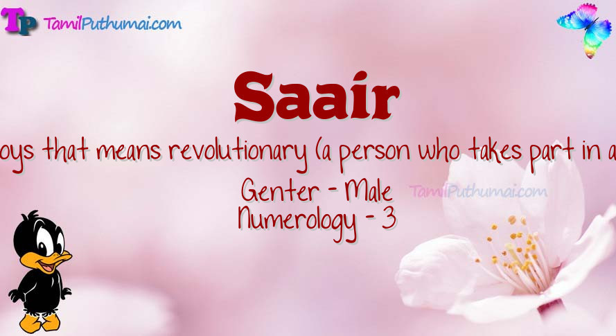 Saair-babyname-meaning