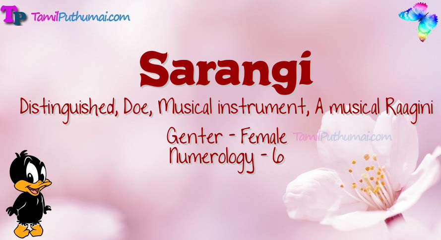 Sarangi-babyname-meaning