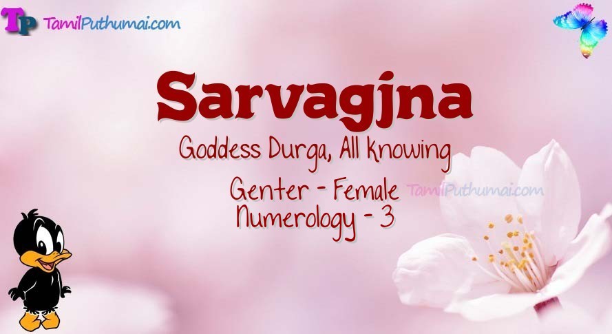 Sarvagjna-babyname-meaning