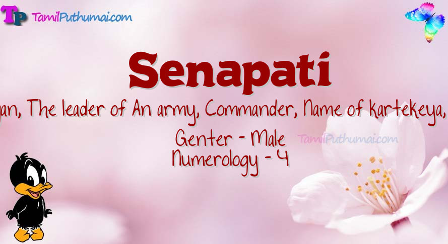Senapati-babyname-meaning